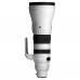 Sigma 300-600mm f/4 DG OS Sports - L-Mount